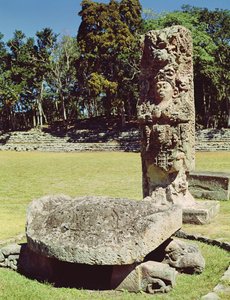 Stele C, joka kuvaa kahdeksantoista kania ja kaksipäinen kilpikonnan patsasta edessä, 711 jKr.